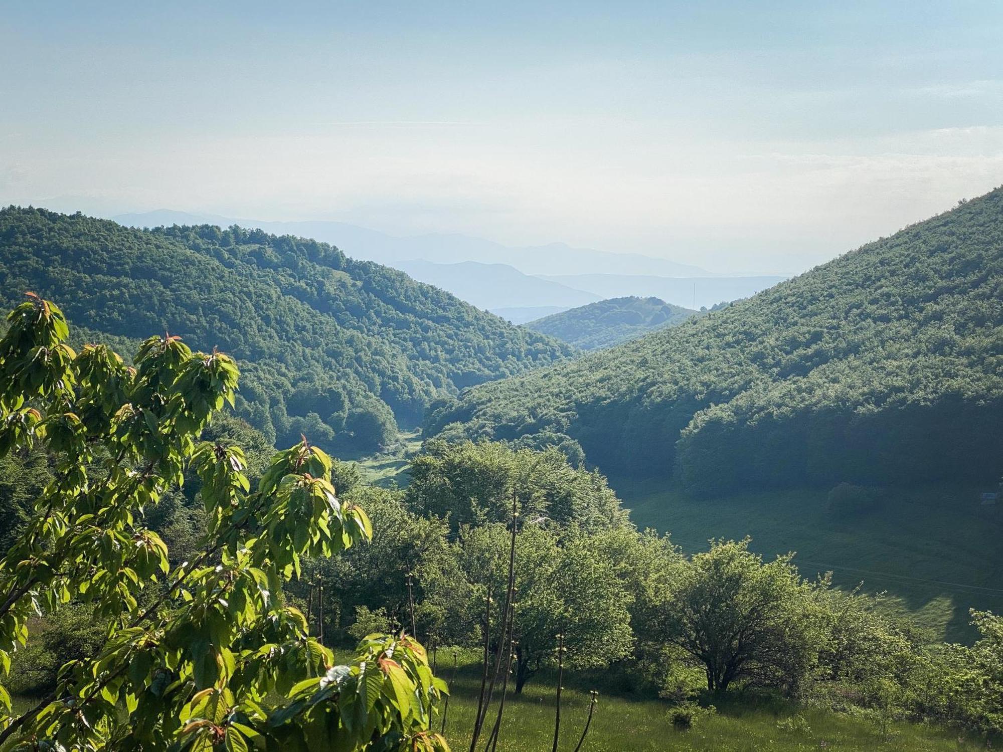 Villa Arcturia Nimfaíon Esterno foto