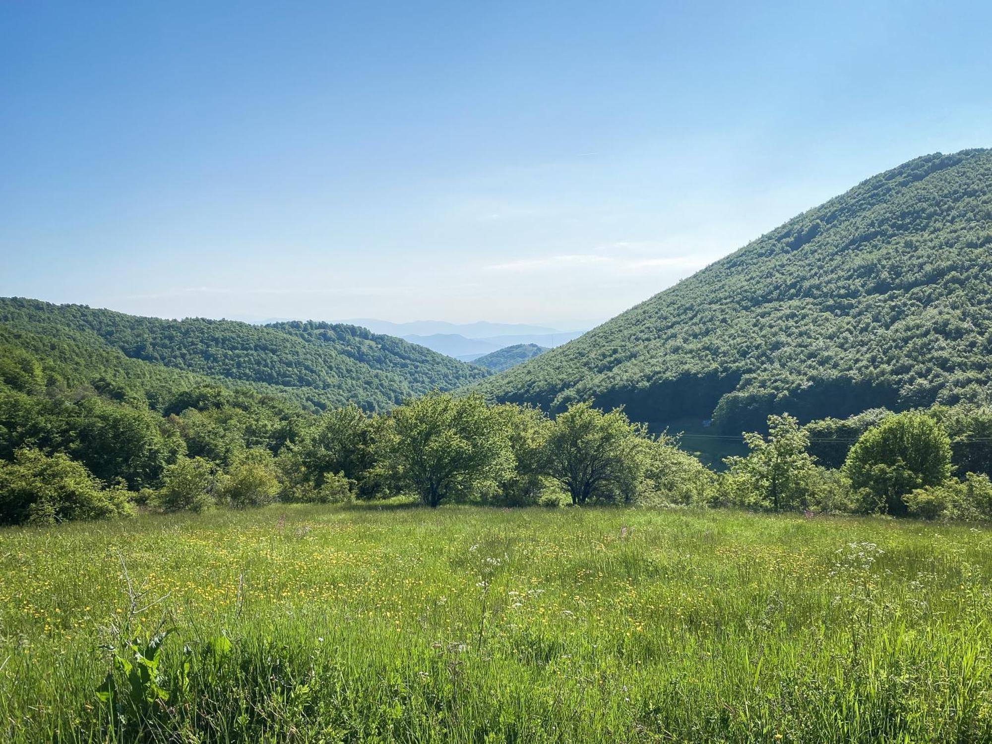 Villa Arcturia Nimfaíon Esterno foto